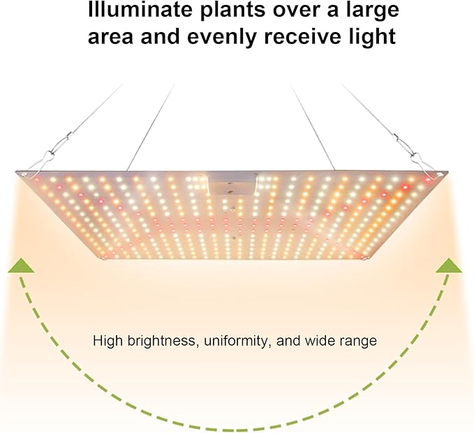Pl Lamp LED Succulent Fill 50W Full Spectrum Pl Grow Quum Plate Greenhouse Greenhouse Nursery Plng