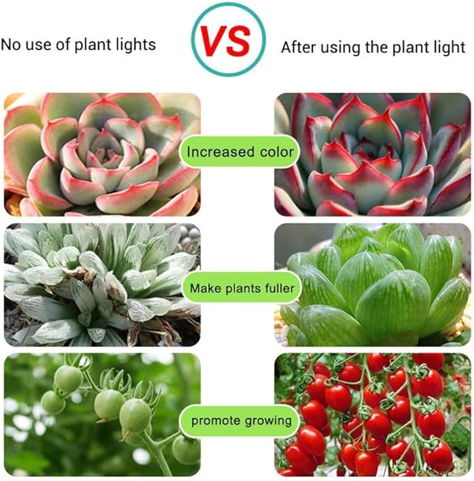 Fengyan Landscape Lights 10m/Set USB Plant Light Strip 5V Plant Grow Light Strip 2835 LED Grow Light Strip Full Spectrum Plant Light LED Street Lamp (Size : 10m IP65)