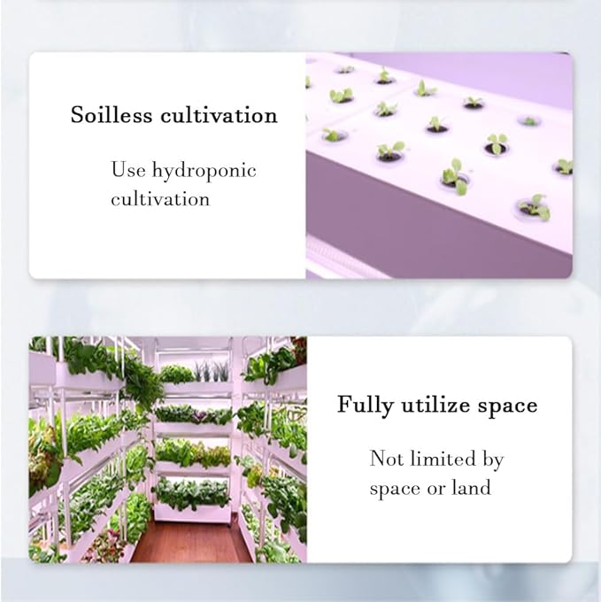 Hydroponics Growing System Hydroponics Growing Set with Grow Light Adopt Tidal Irrigation System Aluminum Alloy Pipe for Fruits Vegetables