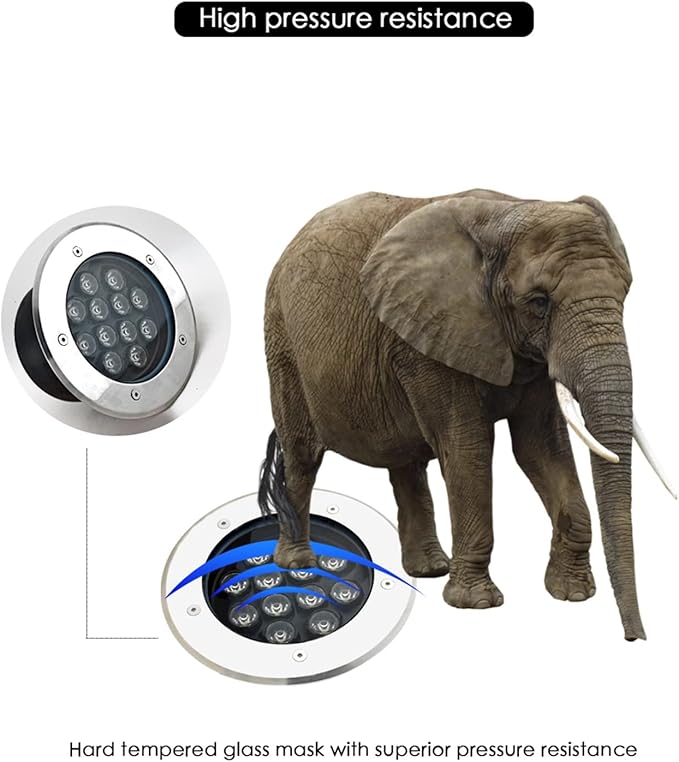 Low Voltage Well Light Outdoor Recessed Ground Lights IP66 Waterproof AC12/24V Embedded Round Spotlight for Pathway Patio Yard Landscape Light