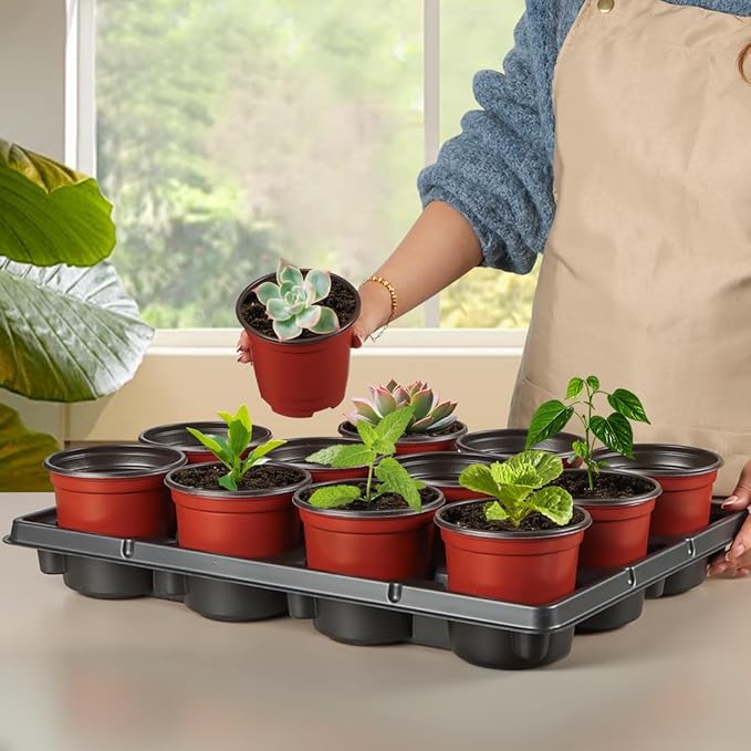 4 inch Round Nursery Pots 60pcs 12 Cell Nursery Pots Trays 5 Pcs Sturdy Seeds Starting Germination Shuttle Carrying Trays Small Planter Nursery Propagation 5 Sets
