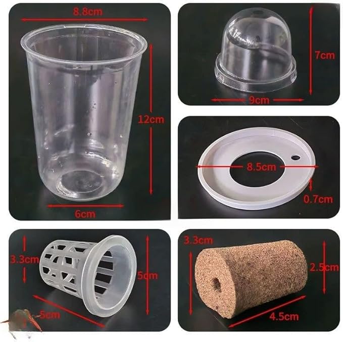 Hydroponics Growing System 5-Set Plant Germination Kit 2026 New – Hydroponics Supplies Planting Container Kit for Beet Canola PP Durable Material No Soil Needed Easy Installation