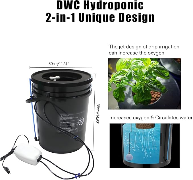 DWC Hydroponics Grow System with Top Drip Kit 5-Gallon Plastic Hydroponic Growing System Kit for Indoor/Outdoor Morus Vegetables