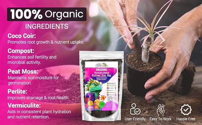 Organic Autoflower Potting Soil Mix – Ready-to-Use Living Soil No Fertilizers Needed – Balanced Nutrients Light Texture Excellent Drainage Boosts Germination &amp Root Growth (3 quarts)
