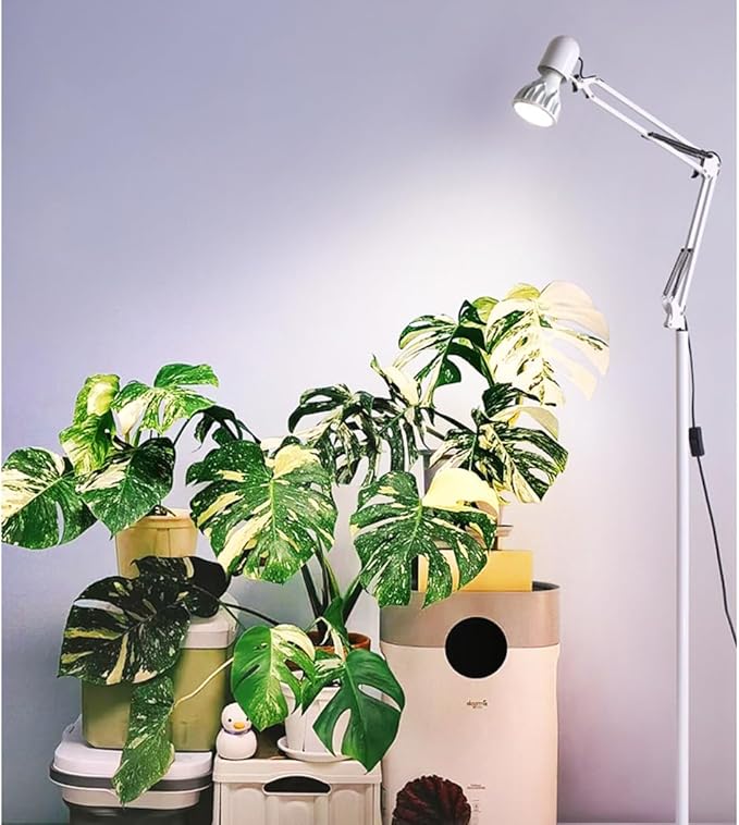 PAR30 LED Grow Lights with Plug-in Hanging Cord 25 Watt COB Full Spectrum Plant Light Bulb (200 Watt Eqv.) Grow Lamp Bulb for Indoor Plants Flowers Greenhouse Seed Starting