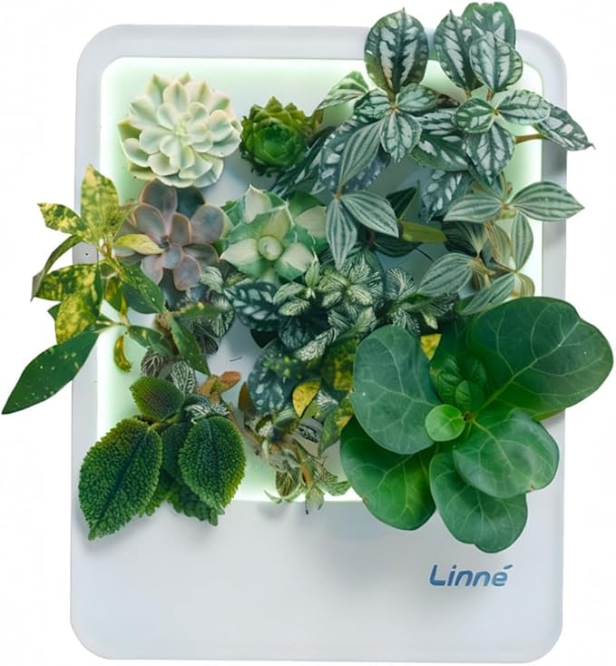 Indoor Garden Hydroponic System with LED Grow Light Indoor herb Garden Indoor Garden Hydroponic System with LED Grow Light (Gery)