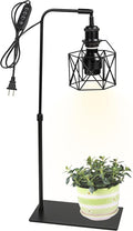 15ft Timer Cord Black Metal with Cage Shade Free Standing Plants Grow Stand Light 10W 4500K Full Spectrum Bulb Included Adjusted Height Retro Style