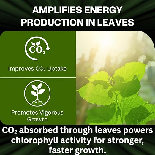 Xtreme Gardening CalCarb Calcium Foliar Spray — Supports Photosynthesis Stress Resistance &amp Prevents Blossom End Rot — for Indoor &amp Outdoor Plants 6 oz