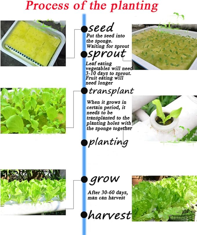Wall-Mounted Hydroponic Grow Kit 36 Plant Sites Hydroponics Planting System 4 PVC Pipes Hydroponic Gardening Indoor System with 110V Water PumpPlanting SpongeHose