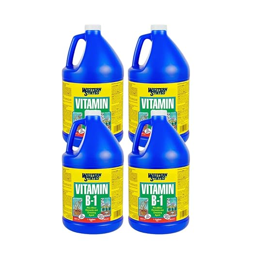 Western States Vitamin B-1 Plant Solution 1 Gallon 4-Pack Root Growth Promoter Transplant Stress Reducer