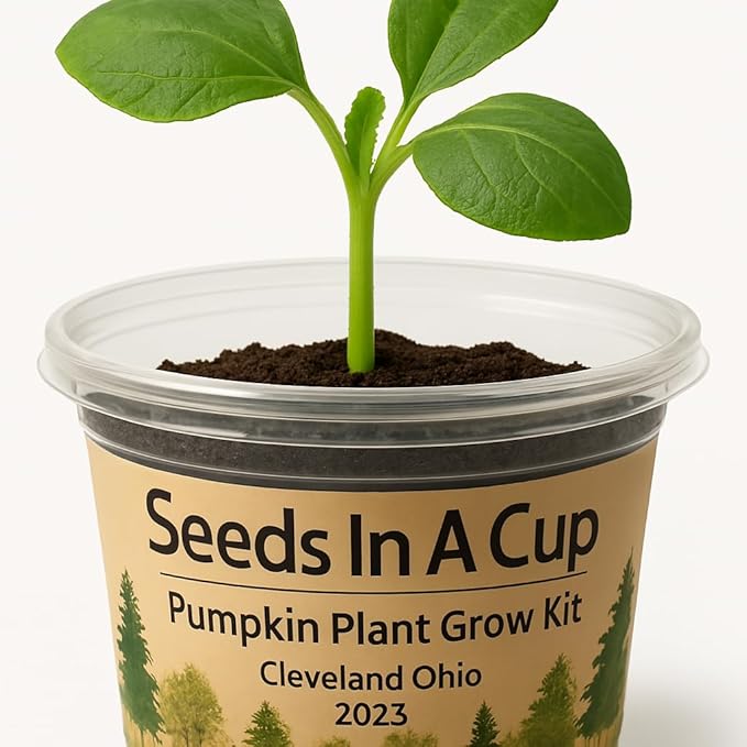 Seeds In A Cup® Custom Garden in A Box – 10-Pack Grow Kit with 50+ Vegetable &amp Herb Seed Options Complete Indoor/Outdoor All-in-One Gardening Starter for Beginners Families &amp Food Love