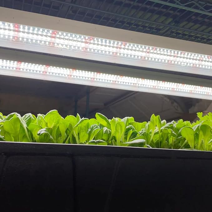 Active Grow Integrated Dual T8 4FT LED Grow Light - T8 Grow Lights for Indoor Plants Seed Starting &amp Microgreens - 38W - Sun White Pro Full Spectrum - Linkable - 120-277V