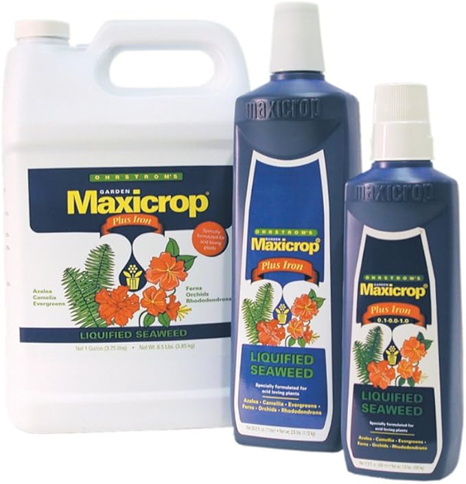 Plus Iron Liquid Seaweed Plant Nutrient Size: 1 Quart