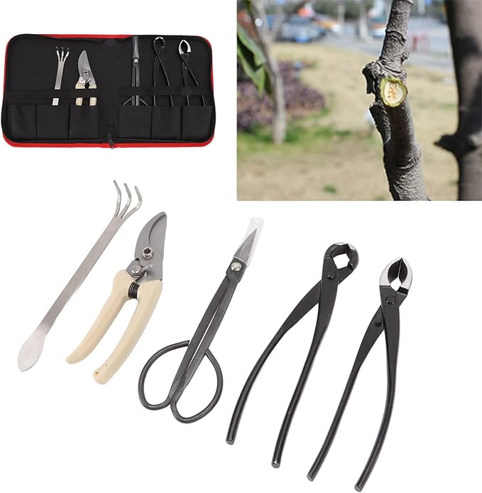 5Pcs Bonsai Tools Set Portable Garden Tools Set with Organizer Bag Mini Garden Succulent Tools Set for Seedlings Bonsai Succulents Herbs Terrariums and Planting
