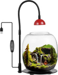 Succulent &amp Moss Glass Vase With Adjustable Led Light Usb-Powered Desktop Plant Grow Light For Home Or Office