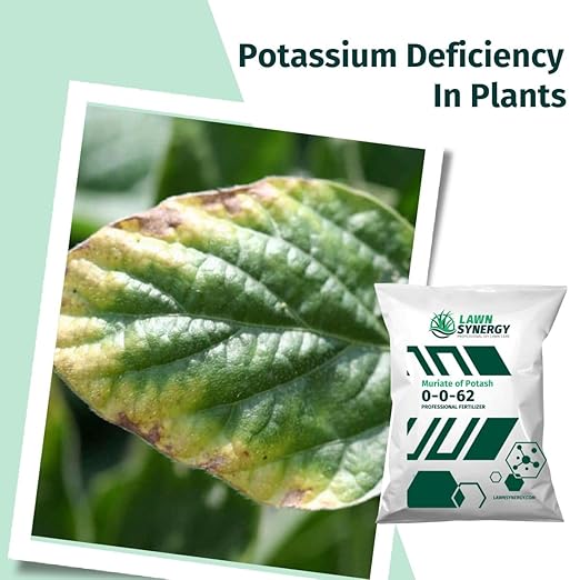 0-0-62 Muriate of Potash Plant &amp Lawn Fertilizer - Strengthens Cell Walls - 15lbs. - Covers 9000 sqft