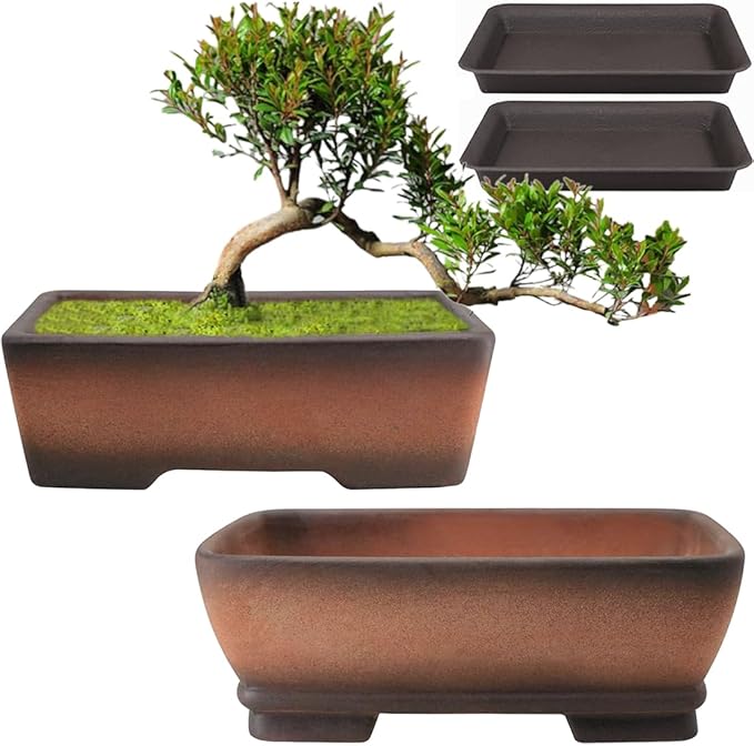 MUZHI 2 Pack Handmade Color Gradational Terracotta Bonsai Pot 5 Inch and 6 Inch with Drip Tray Breathable Unglazed Rectangle Ceramic Planter for Tree Succulent Cactus