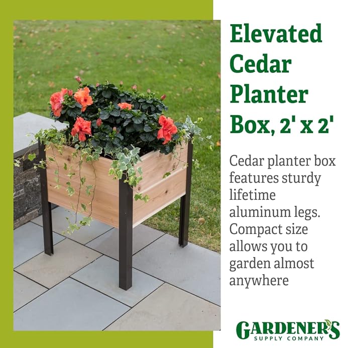 Gardener's Supply Company Raised Garden Bed Elevated Cedar Planter Box | 2' x 2' Heavy Duty Standing Garden Planters for Outdoor Plant Vegetables &amp Flower Gardening Perfect for Patio Lawn &amp B