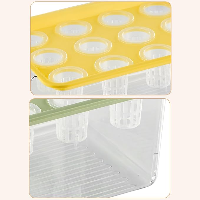 Modern Hydroponic Growing Setup Container Featuring Viewing Window for Home Vegetables Plant Progress Plant Growing Greenhouse Container