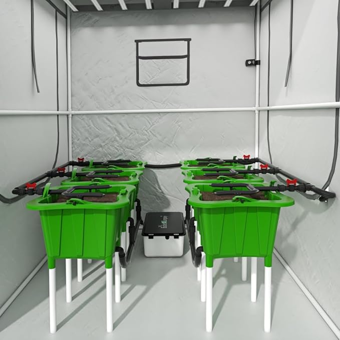The Bucket Company 3 Gallon Grow System for Plants | 2-in-1 Top Feed Watering System Bucket Kit Works with Drain to Waste &amp Recirculating Gardening Applications (6 Buckets) (Green)