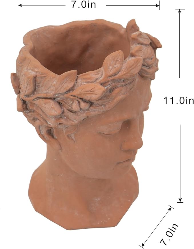 D7x11 Visage Head Bust Planter Brown