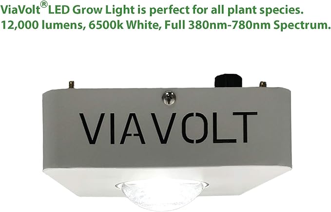 Grow Light 6500K Full Spectrum Cree COB LED 65 Watts12000 Lumens