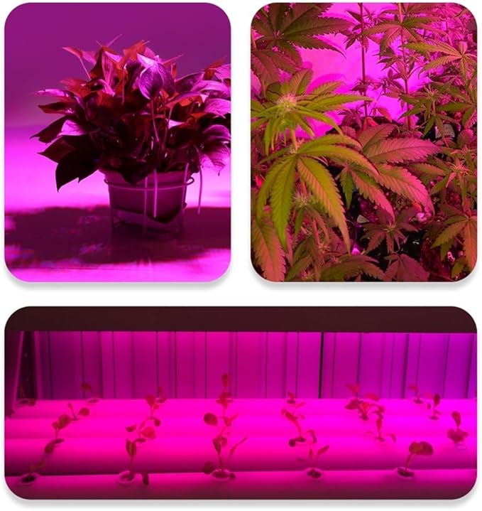 Luopan Indoor Lighting 1/2/4/6pcs/lot LED Plant Growth Lamp 18 LEDs 110V 220V LED Grow Lamp Full Spectrum Indoor Lighting Grow Lights E27 Hydroponic System Grow Box (Color : 6 Pieces)