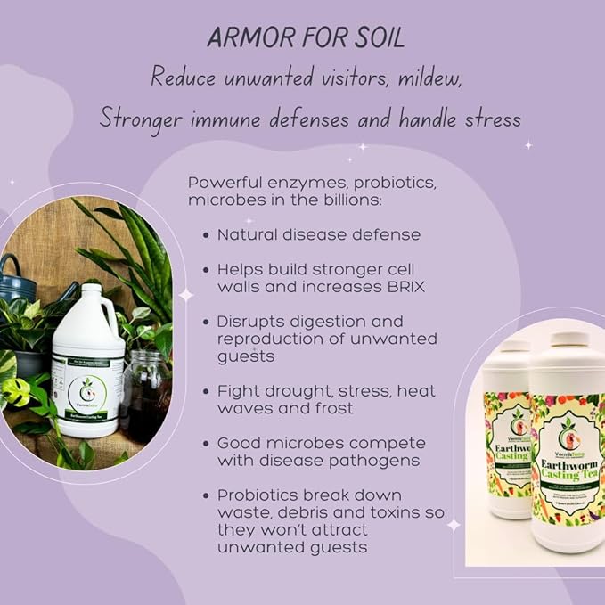 Worm Tea for Gardening and Composting - Set of 2 Quarts - Organic Earthworm Soil Enhancer - Vermicompost with Kelp - Increase Yields Boost Growth - Vegetables Flowers Fruit and Trees - VermisTerra