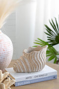 9x5.5x5.7 Sand and Cement Conch Planter with Textured Beige
