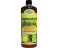 Microbe Life Photosynthesis Plus-OK 32 oz (OK Only)