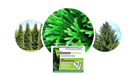 Power Spike for EVERGREENS Fertilizer Spike. Essential Nutrient Spike Fortified with Iron to Feed All Types of evergreens and Address Common Deficiencies (20 Spikes - 6.4 lbs) (20)