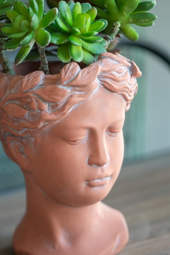 D6x9 Visage Head Bust Planter Brown