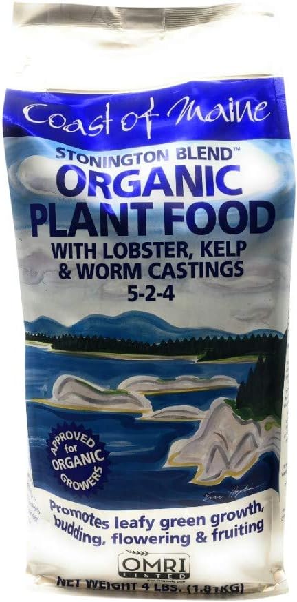 Floral Plant Food 1 EA