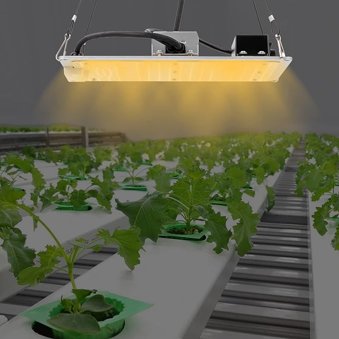 LED Grow Light for Indoor Plants - Dimmable Daisy Chainable Full Spectrum LM301B Diodes Suitable for 2x2 &amp 3x3 Grow Tents