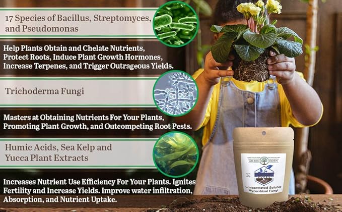 GreenEden EndoBoost Hydro Soluble Mycorrhizal Fungi (7 Species) - Makes 120 Gallons - Mycorrhizae Root Enhancer - Bacteria Inoculant - Hydroponics or Soil