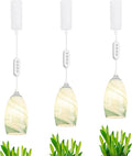 Adjustable Height J-Type Track Light Pendants 24 H Timer 4500K 10W LED Full Spectrum Lake Green Marble Oval Bell Glass Hand Blown Cover AUTO Plant Growing Lamp for Kitchen Green House