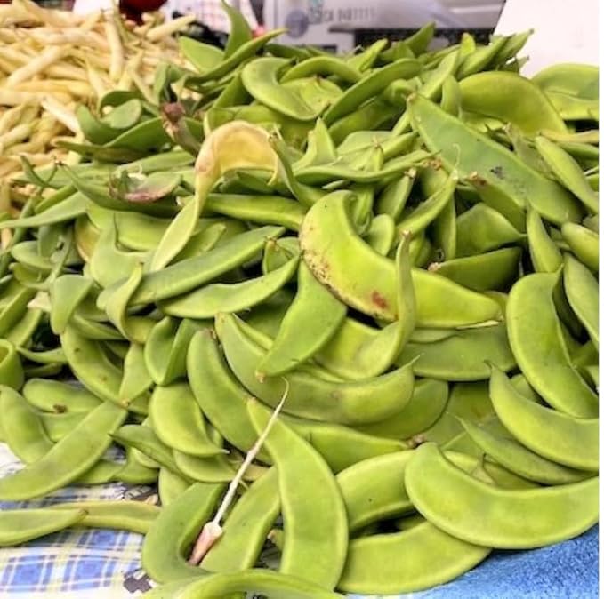 100 Speckled Butterpea Lima Bean Seed | Southern Baby Butter Beans Red Brown Peas Heirloom Non GMO Vegetable Seed