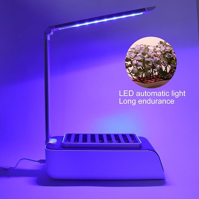 Indoor Gardening System Hydroponic Plant Growing System Indoor Home Herb Garden Set Indoor Vegetable Growing System Hydroponic Planter for Home Kitchen Office