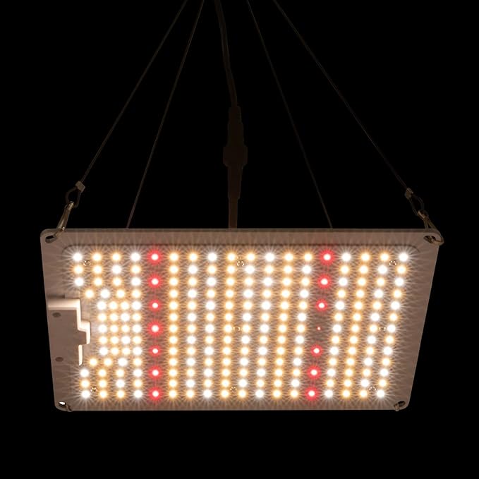 110W Full Spectrum Growth Light for Flower Bloom Dimmable Indoor LED Grow Lamp for Plants Heat Dissipation Grow Light