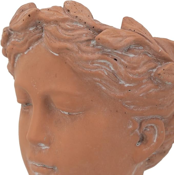 D6x9 Visage Head Bust Planter Brown