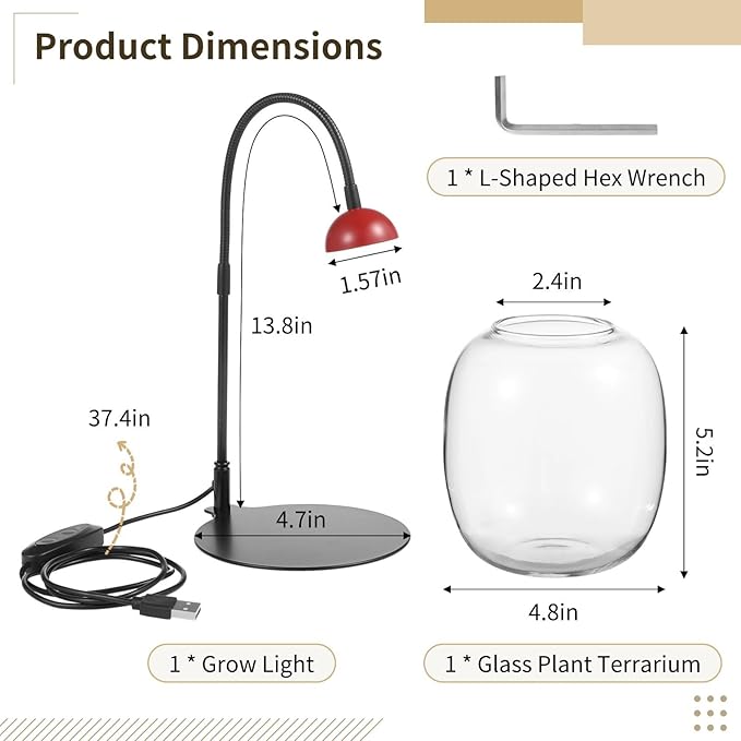 Succulent &amp Moss Glass Vase With Adjustable Led Light Usb-Powered Desktop Plant Grow Light For Home Or Office