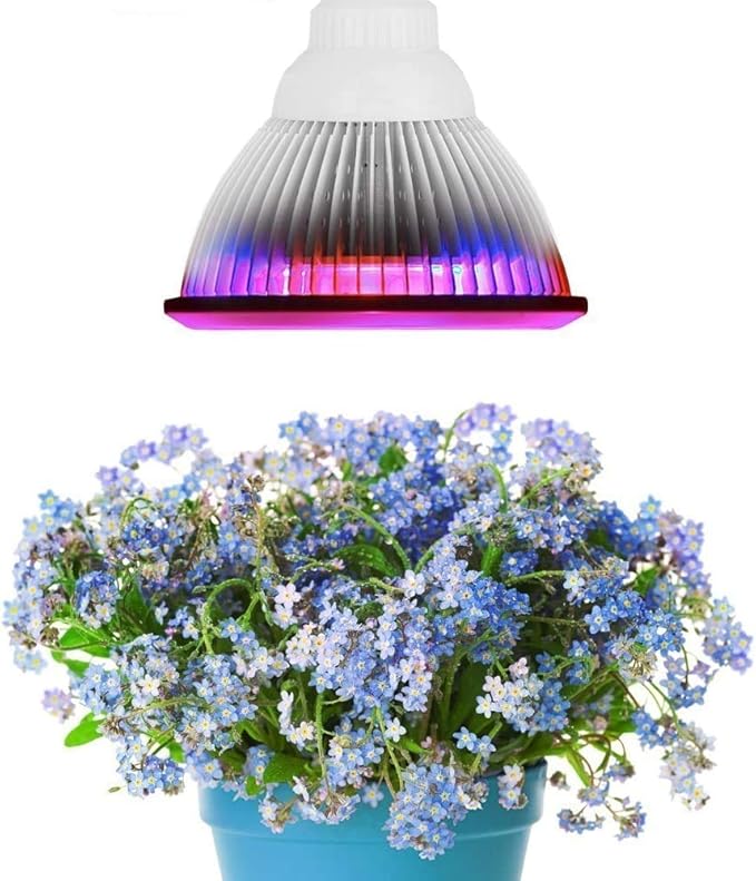 Superdream E27 12W Led Grow Light TT-GL20 Red Blue LED Lights for Plants in Garden Greenhouse