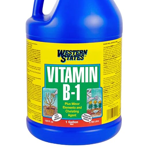 Western States Vitamin B-1 Plant Solution 1 Gallon 4-Pack Root Growth Promoter Transplant Stress Reducer