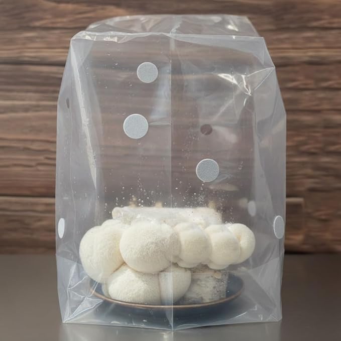 Lion's Mane Mushroom Grow Kit | Large 5.5 LB Fruiting Block | with Custom Humidity Tent &amp Filters | Grow Anywhere