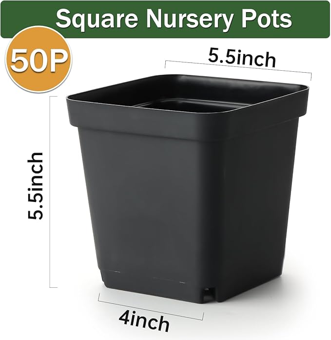 BTPLASTIK Square Nursery Pots 5.5 Inch 50Pcs Plastic Sturdy Reusable Seedling Pots with Drainage Holes Garden Flower Planters for Indoor/Outdoor Transplanting Succulents Cuttings Black