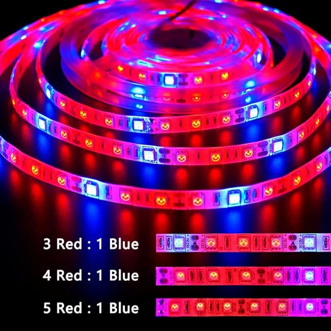 Fengyan Landscape Lights 5m 5050SMD DC12V 60leds/m LED Strip Light Indoor Plant Grow Light 3 Red 1 Blue 4 Red 1 Blue 5 Red 1 Blue LED Street Lamp (Color : 5 red and 1 Blue Size : IP20)