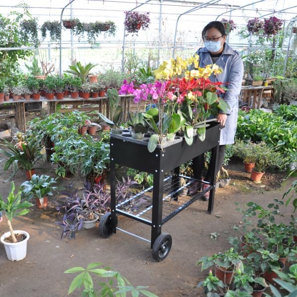 Mobile Elevated Metal Garden Bed Cart with Wheels Tall Raised Planter Box with Legs and Shelf for Vegetables Herbs Flowers Indoor Outdoor Patio Backyard Gardening with Drainage Hole System