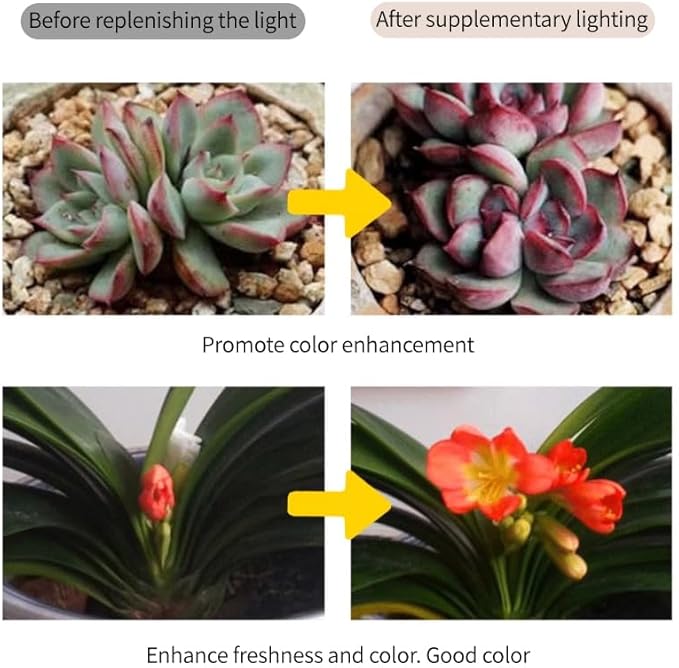 Grow Lights for Indoor Plants Full Spectrum Panel Lamp with Timer (6H/10H/12H) Auto On/Off 4 Dimming Levels Slim Design for Under-Shelf or Wall Mount Use Natural White2-Pack