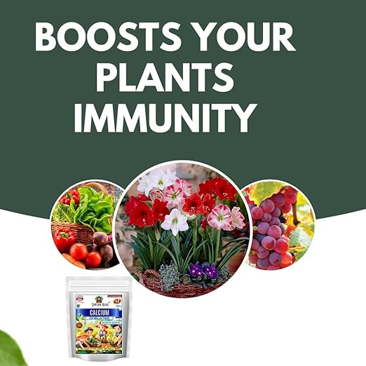 Sansar Agro® Chelated Calcium (Calcium - Ca- 10% EDTA Chelated) Powerful Essential Organic Fertilizer for Fast Growth of All Plants. (200 gm)