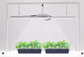 LED Grow Light Lamp Stand for Plant Seedling Germination Vege Flower GrowthFull Spectrum CRI 90+ White Light CCT 6500KIsolated Dimming Power with On/Off SwitchHeight Adjustable100W4FT